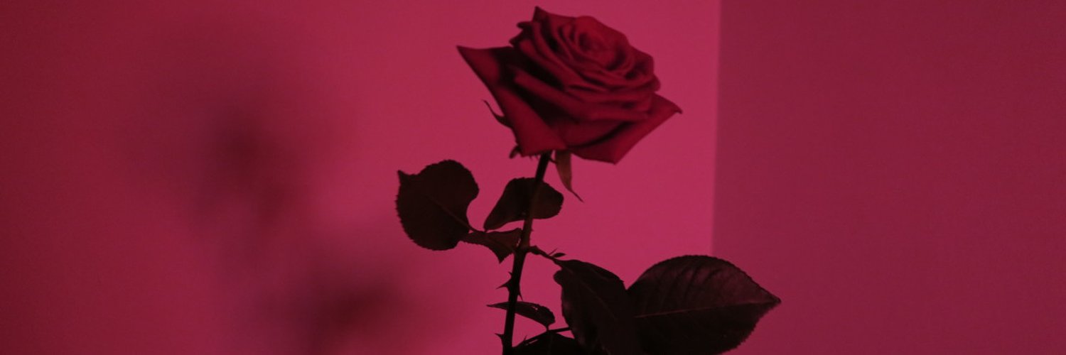 MoonieeLuna's profile banner image