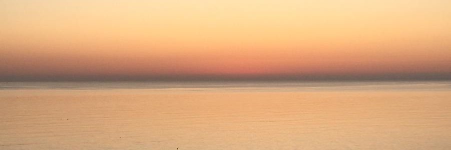 ElisabettaTeso's profile banner image