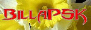 sst_d's profile banner image