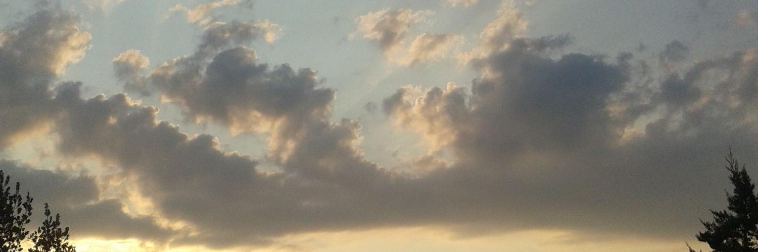 tzitziartemis's profile banner image