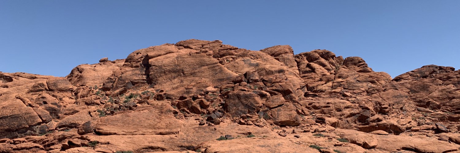 Ayelet Forrest🍉 banner