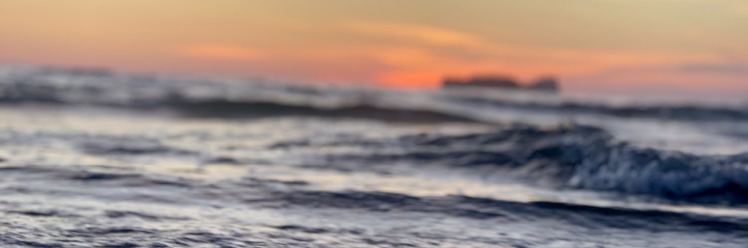 aleenoriega02's profile banner image