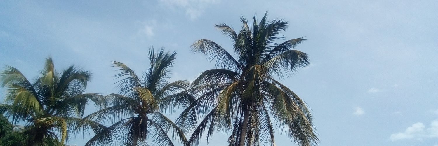 D.R banner