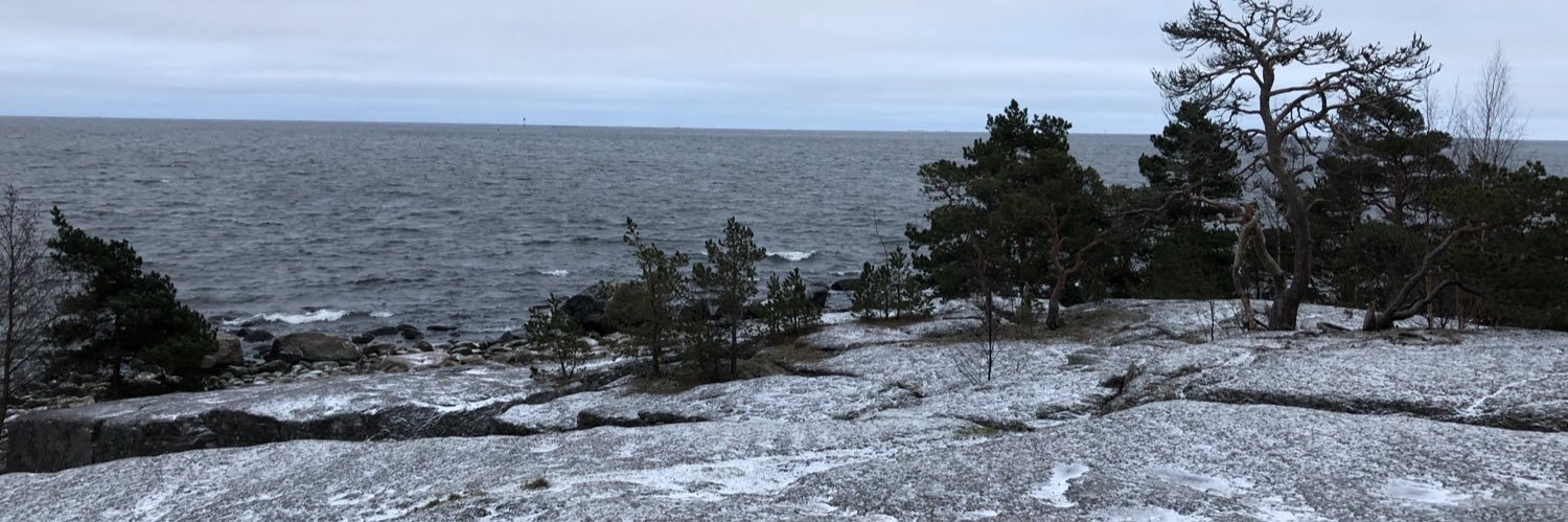 Johan Hamström banner