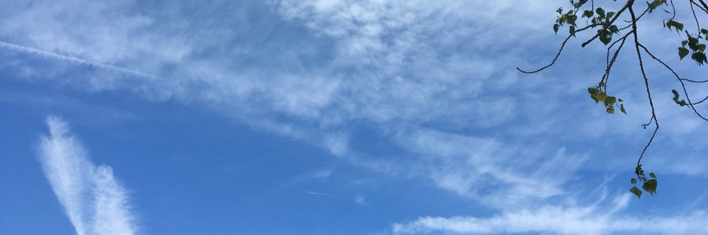 Louiseseitz's profile banner image