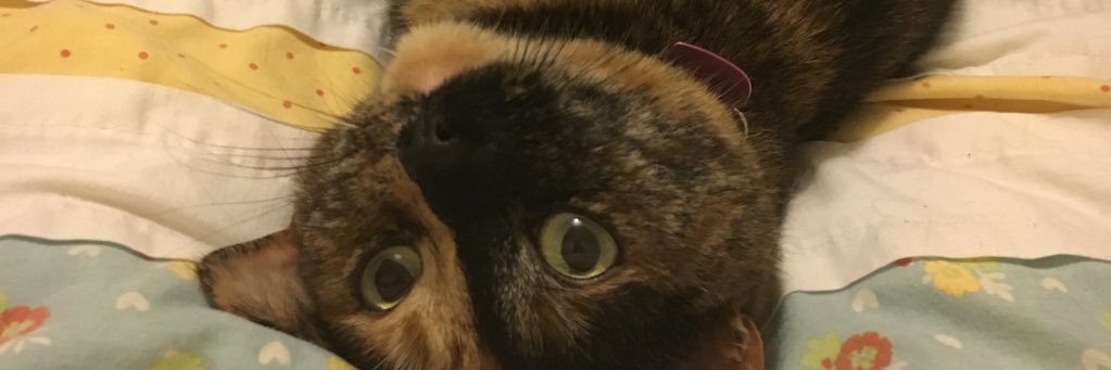 loupj23's profile banner image