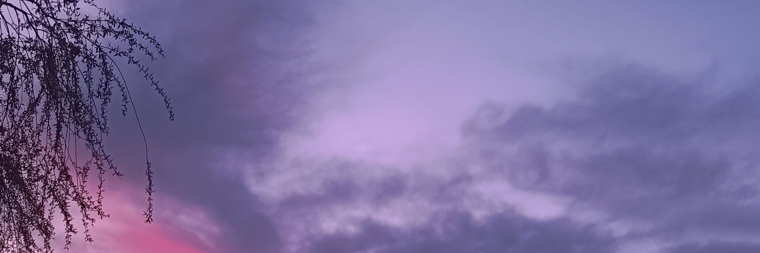 DraLemmon's profile banner image