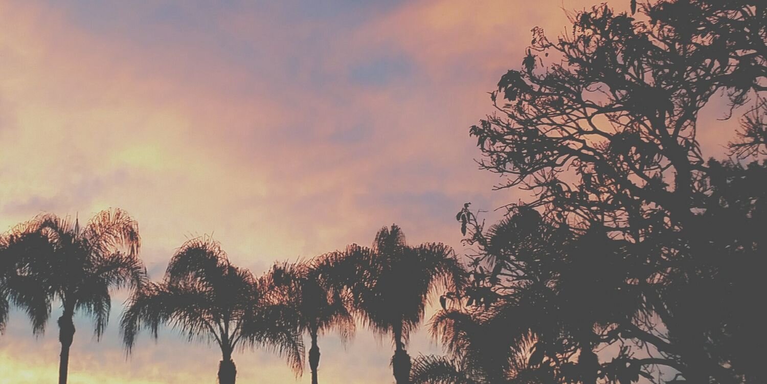 cj_hardwick's profile banner image