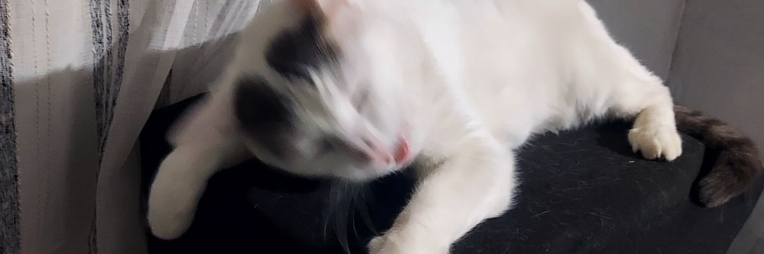 brunoalexms's profile banner image