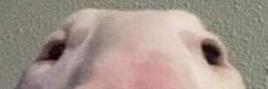 UserGh0st's profile banner image
