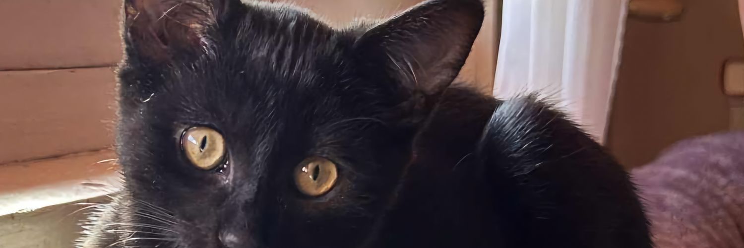 SawMarie's profile banner image