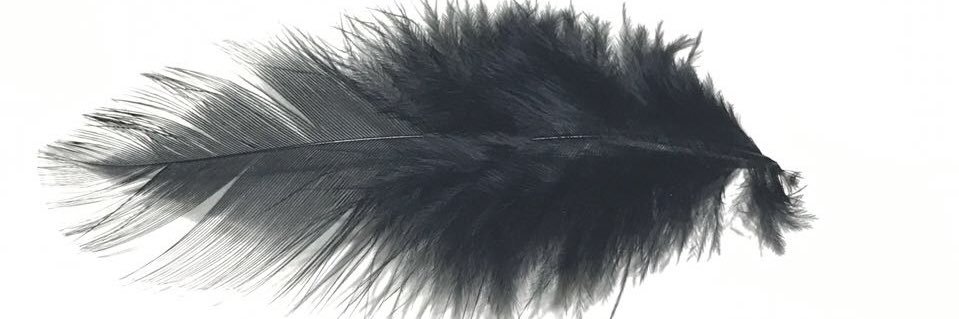ozgeeunal's profile banner image