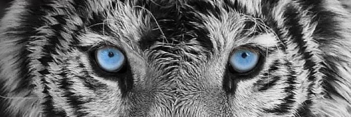 Kween_Britt's profile banner image