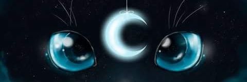 ArInkoO_Chan's profile banner image
