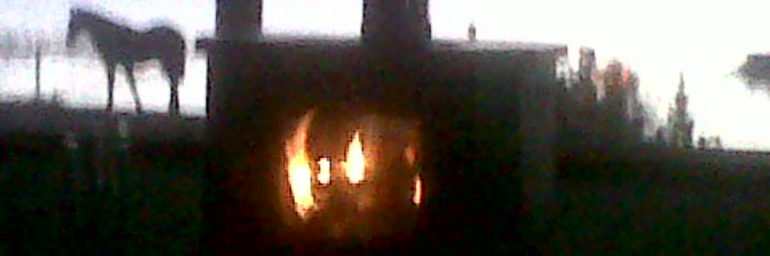 Fabian Stekelorum banner