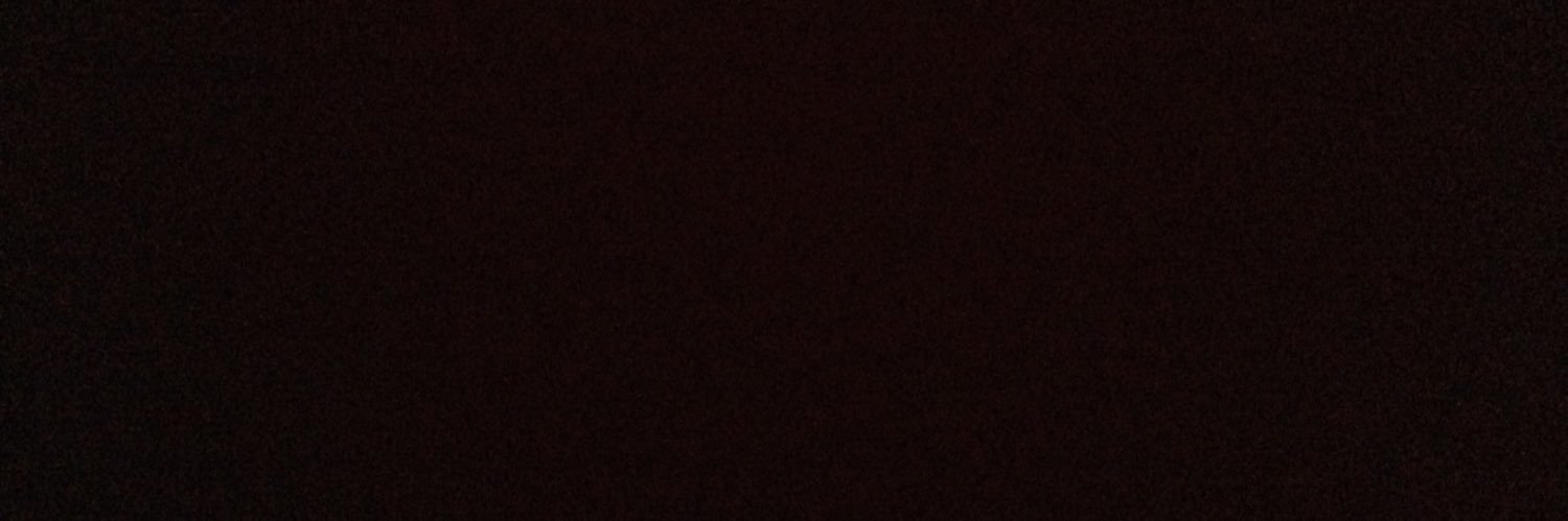 Gus Tavø banner
