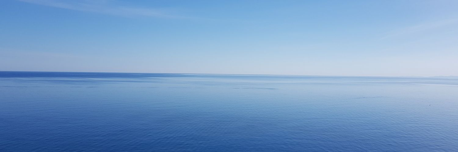 Ramón Sintes Villalonga banner