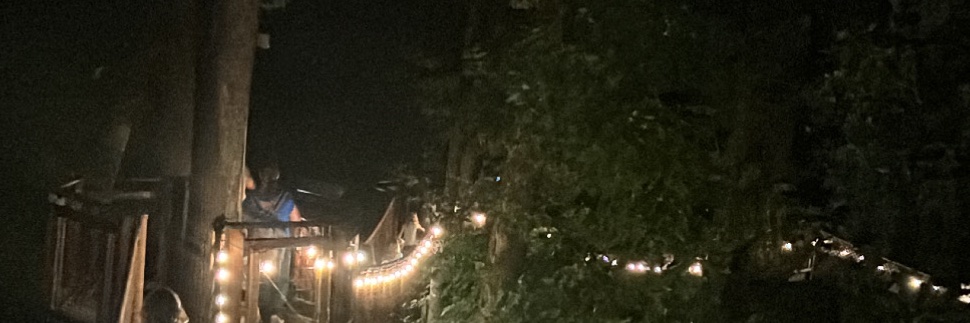 Love_Dria_'s profile banner image