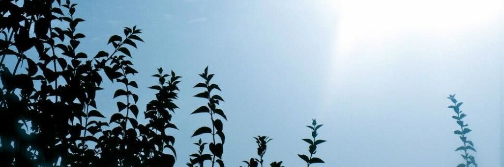 JolienBaeke's profile banner image