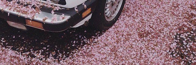 Cosmic_Delights's profile banner image