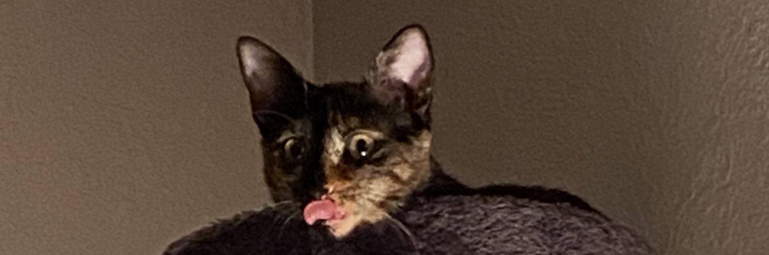 verrymessedup's profile banner image