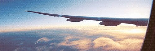 najsi_'s profile banner image