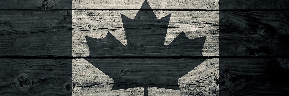 thelargefry's profile banner image