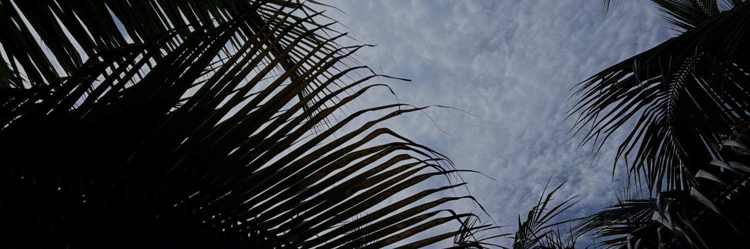 IrisLina's profile banner image