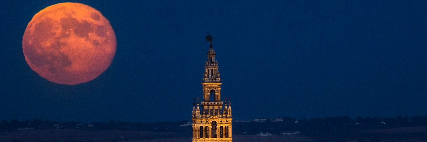 Fernando Navarro banner