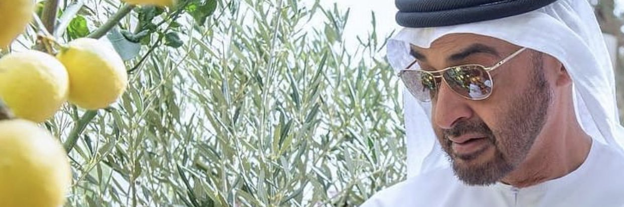 Zayed97's profile banner image