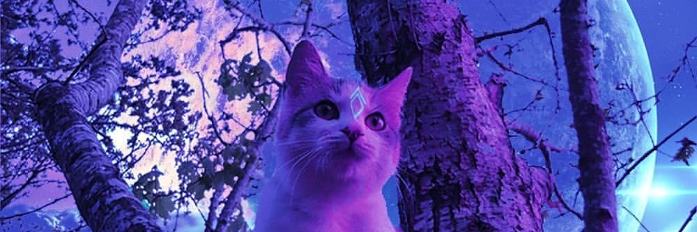 irrazhou's profile banner image