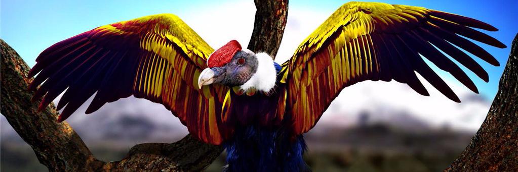 OnlyEcuador's profile banner image