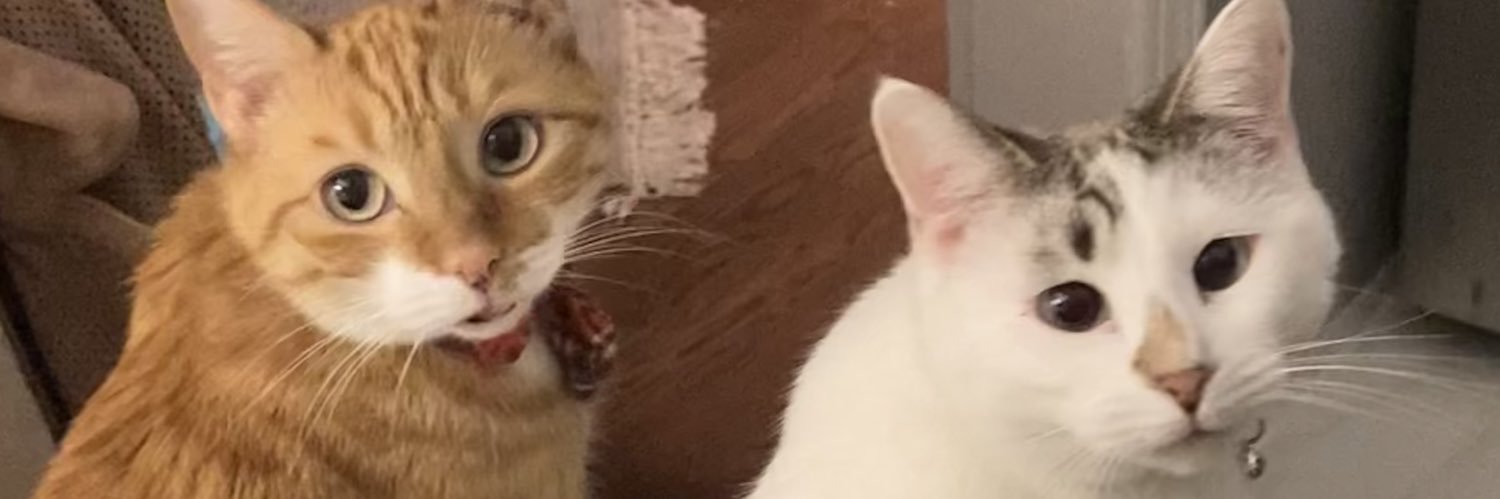 KateLehr08's profile banner image