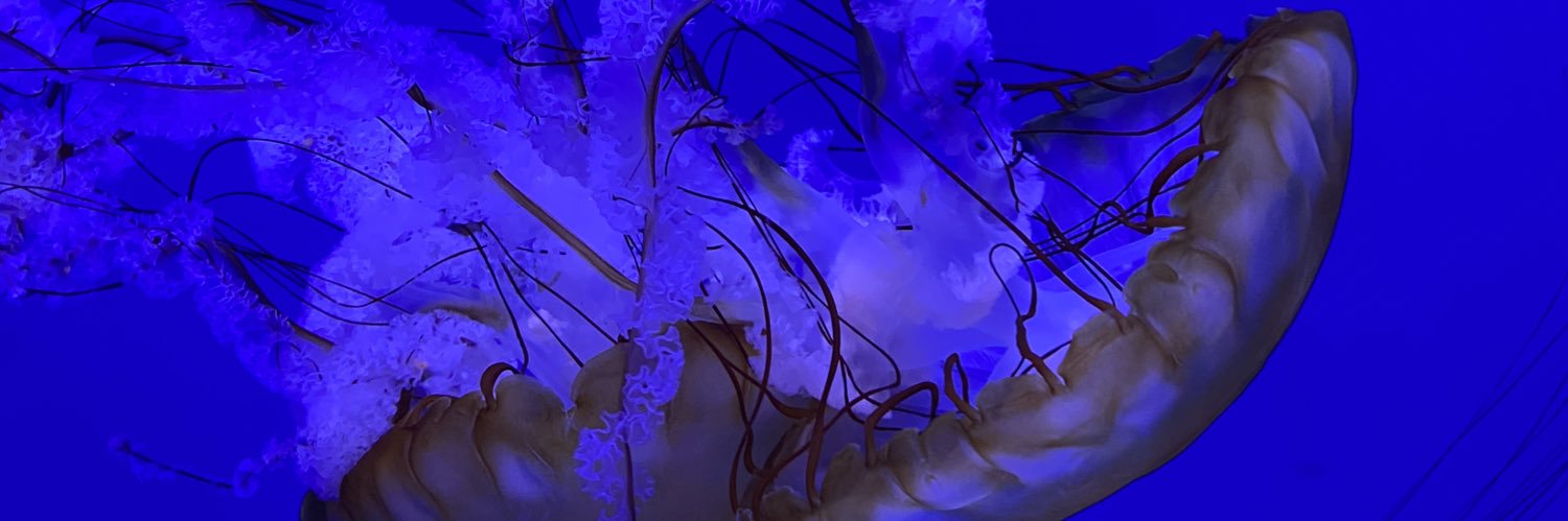 officialmegggo's profile banner image