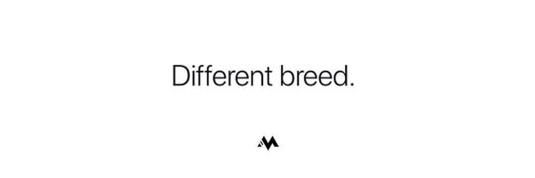 _TheTB Profile Banner