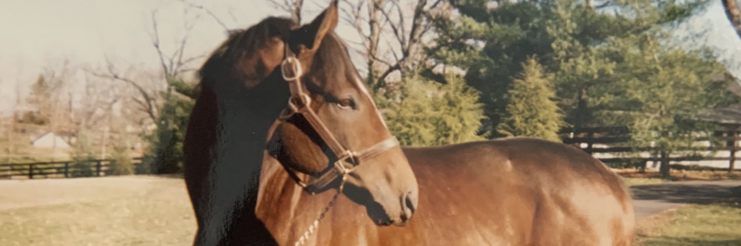 nicknaumenko's profile banner image