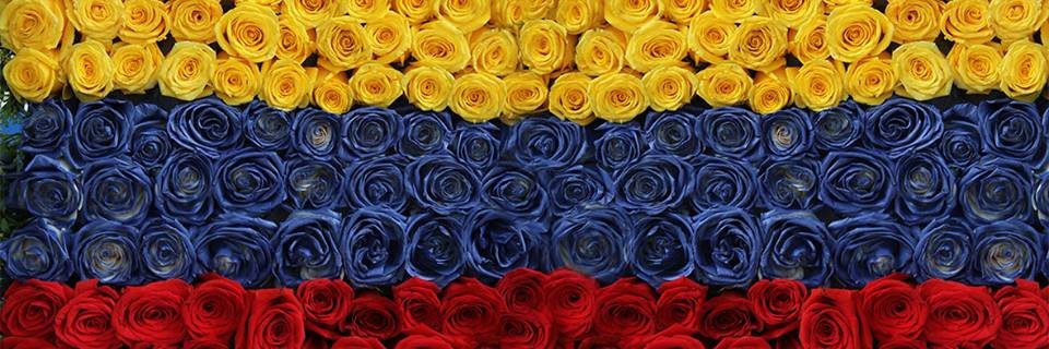 FelipeAbril5's profile banner image