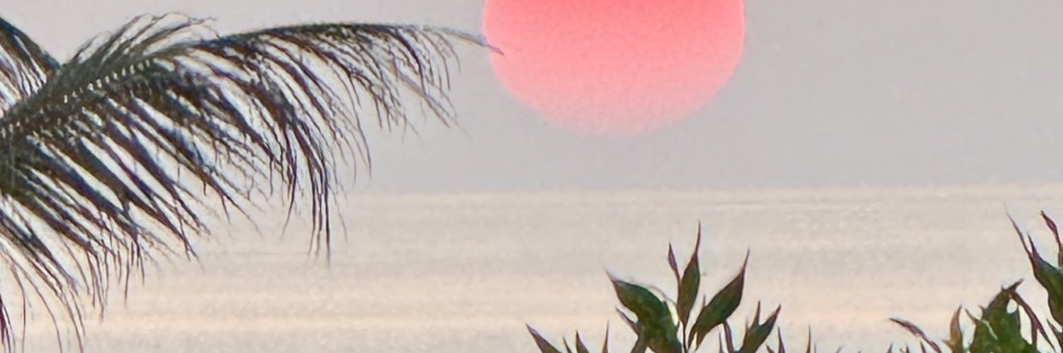 Paulina581's profile banner image