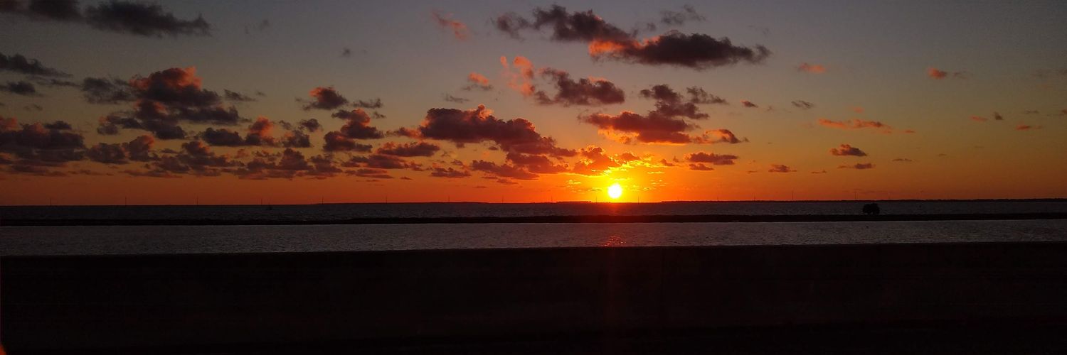 jspitts1's profile banner image
