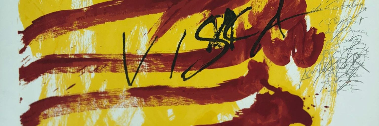 joan plana pons 🎗️ banner