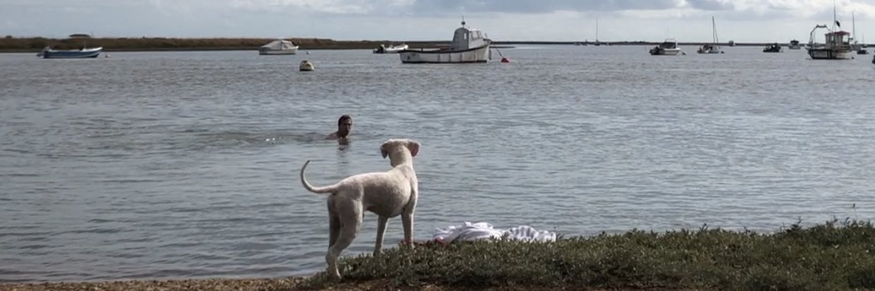 Cassian Horowitz banner