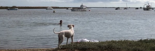 CassHorowitz Profile Banner