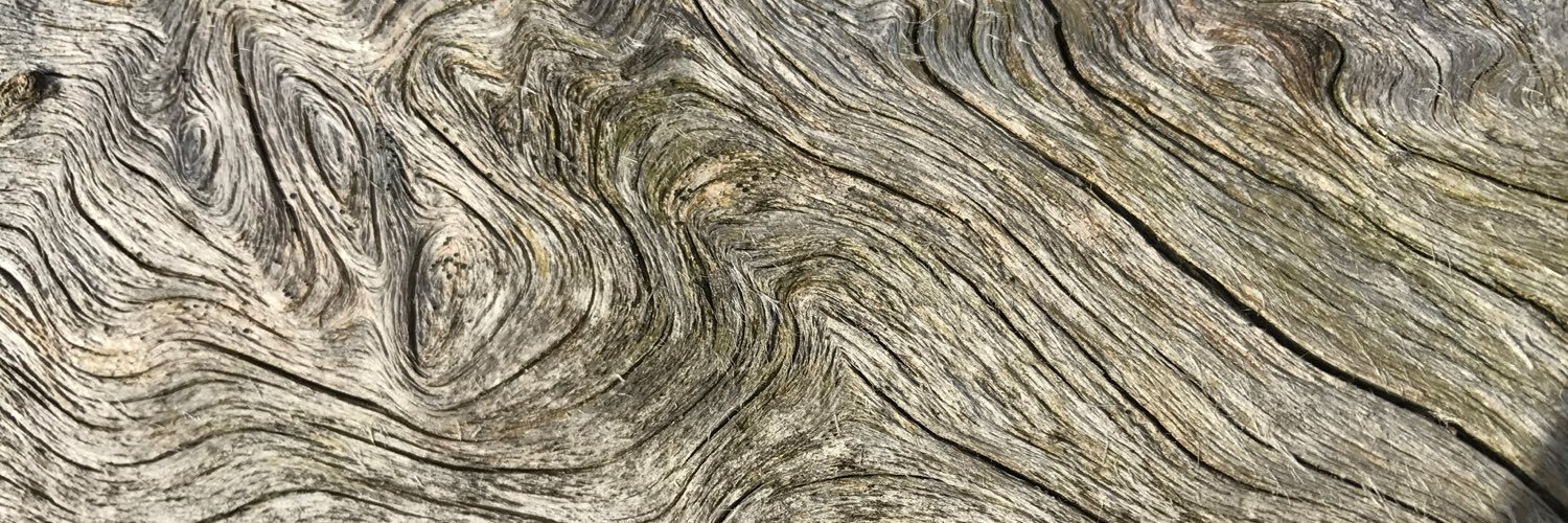 tzimmerer's profile banner image