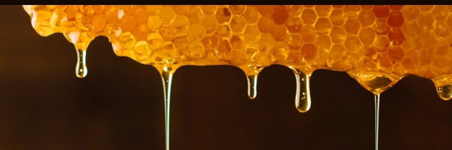 Flavito 😇.🪅🖼️🐕⛺.🐨🕳🧩. 🐒🕳 .🐧🕳🐟.❄🕳🐸 banner