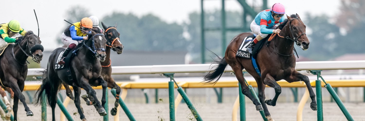 umak🐴ウーマック banner
