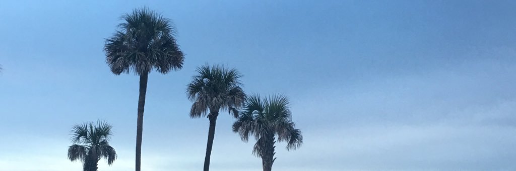 AnneMarieMinor's profile banner image