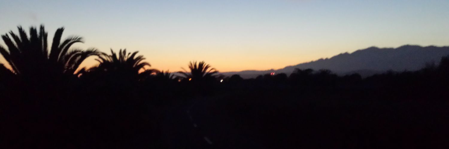 tecolote94's profile banner image