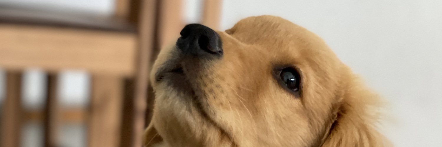angecorr's profile banner image