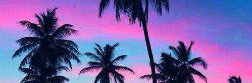 Which_User's profile banner image