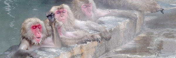 mciccone_AI Profile Banner